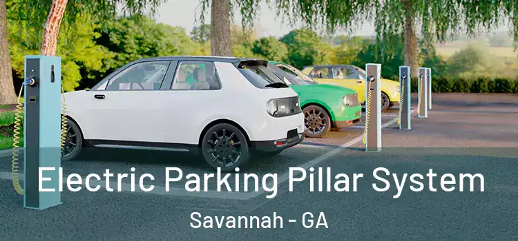  Electric Parking Pillar System Savannah - GA