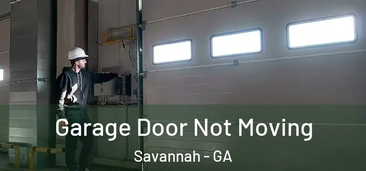  Garage Door Not Moving Savannah - GA