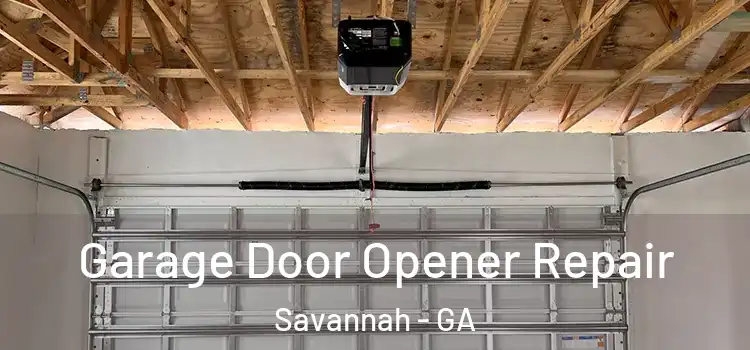  Garage Door Opener Repair Savannah - GA