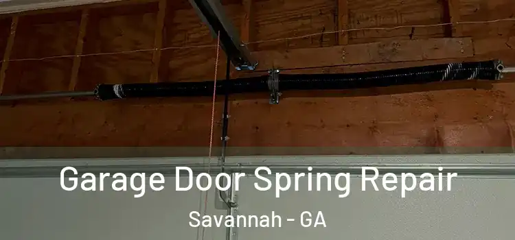  Garage Door Spring Repair Savannah - GA
