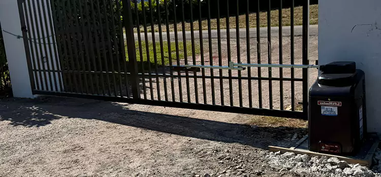 Solar Swing Gate Opener Savannah