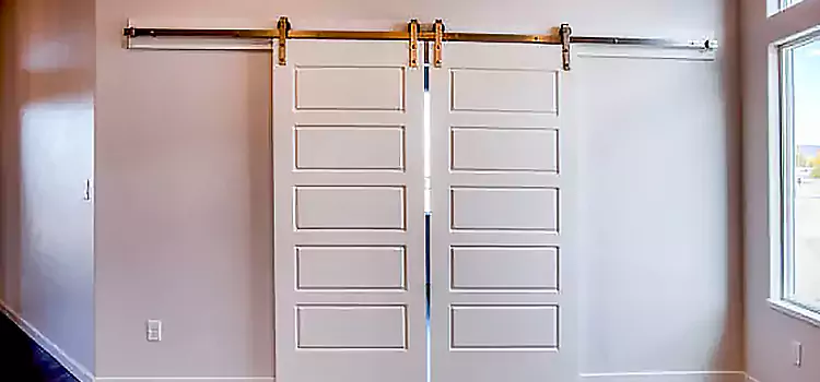 Glass Barn Door with Installation Hardware Kit Savannah
