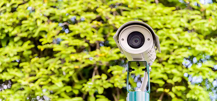 Advanced Surveillance Solutions for Every Need in Savannah