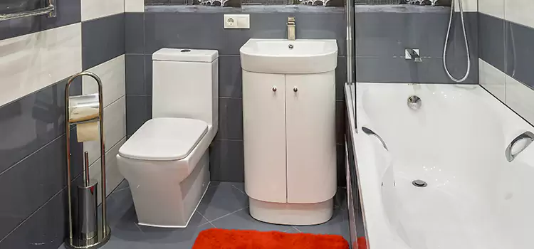 Hansgrohe Shaving Mirror Savannah