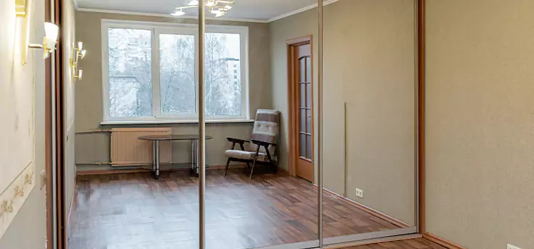 Mirror Closet Door Roller Replacement Savannah